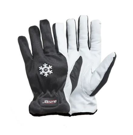 Gloves Pro Dex 11 5650
